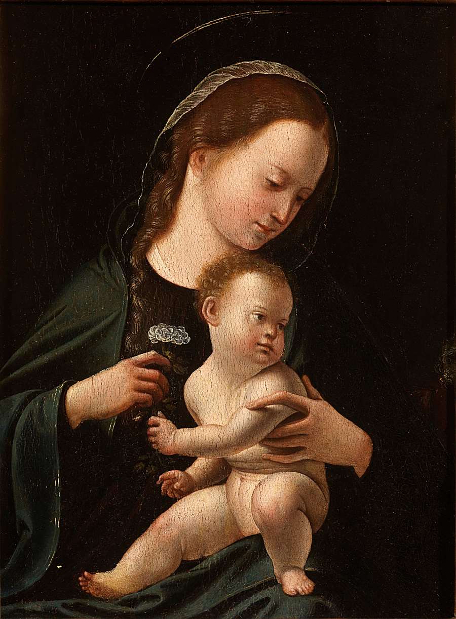 Our Lady with a Rose
