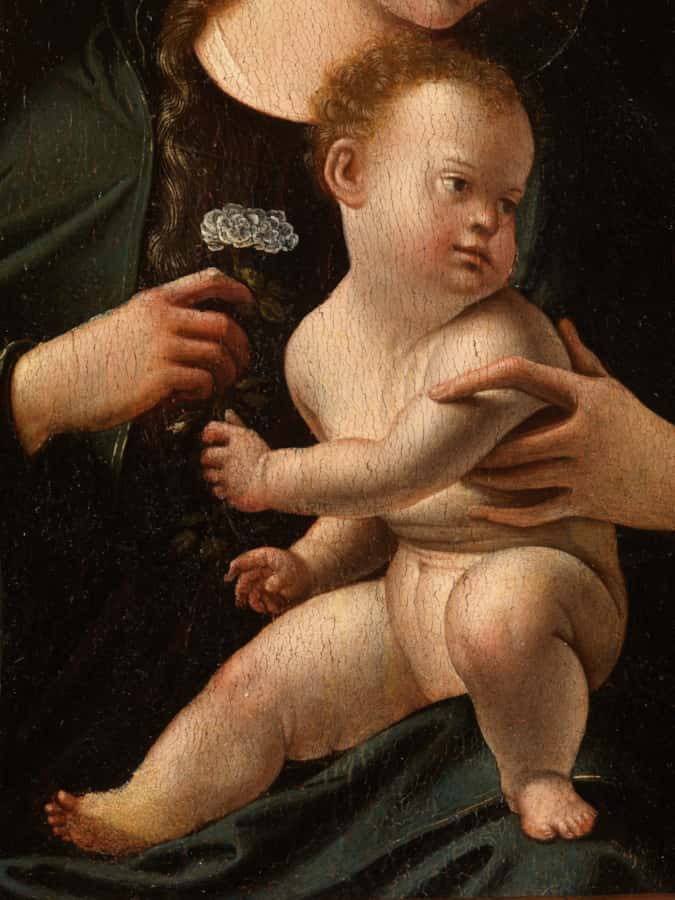 Our Lady with a Rose