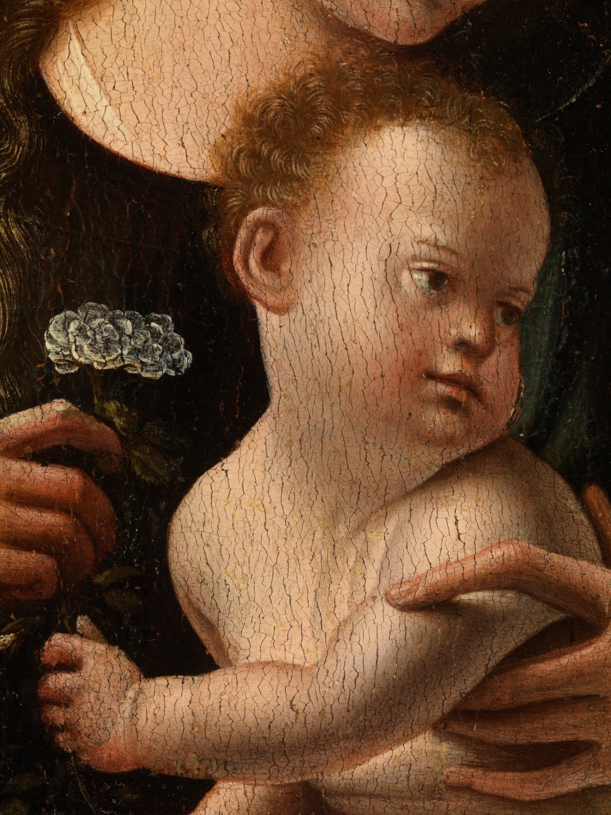 Our Lady with a Rose